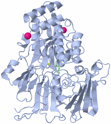 Image Asym./Biol. Unit