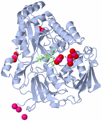 Image Asym./Biol. Unit