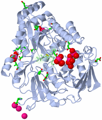 Image Asym./Biol. Unit - sites