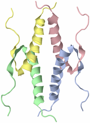 Image NMR Structure - model 1