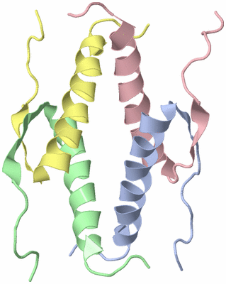 Image NMR Structure - model 1