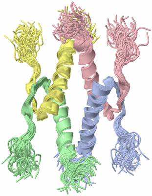 Image NMR Structure - all models