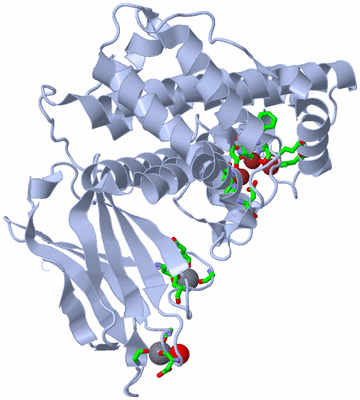 Image Biol. Unit 1 - sites