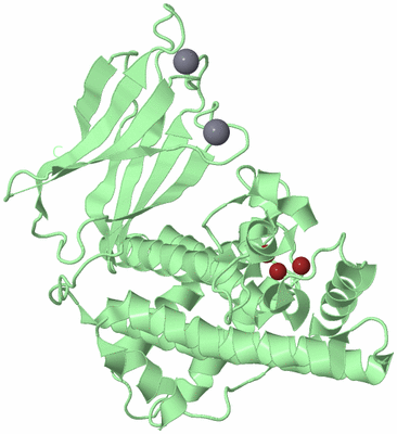 Image Biological Unit 2