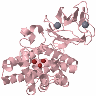 Image Biological Unit 3