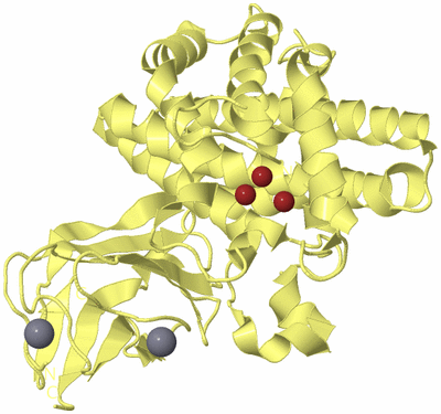 Image Biological Unit 4