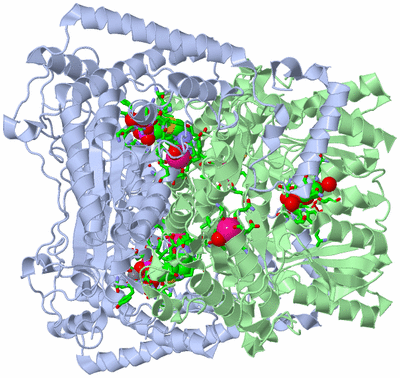 Image Biol. Unit 1 - sites