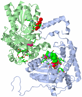 Image Asym. Unit - sites