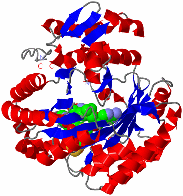 Image Asym./Biol. Unit