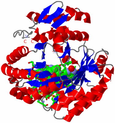Image Asym./Biol. Unit - sites