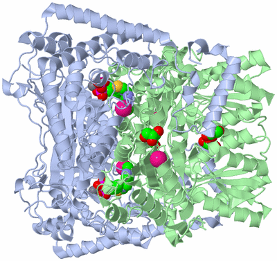 Image Biological Unit 1