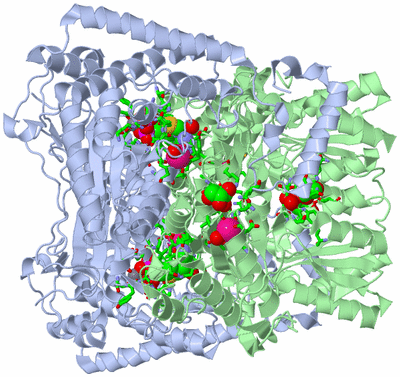 Image Biol. Unit 1 - sites