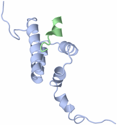 Image NMR Structure - model 1