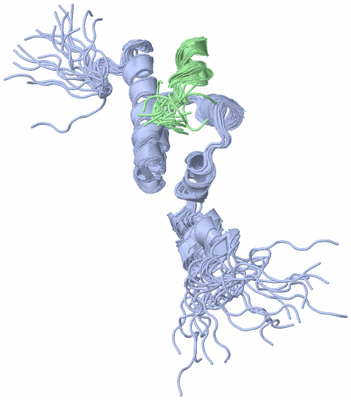 Image NMR Structure - all models