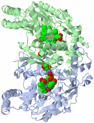 Image Asym./Biol. Unit