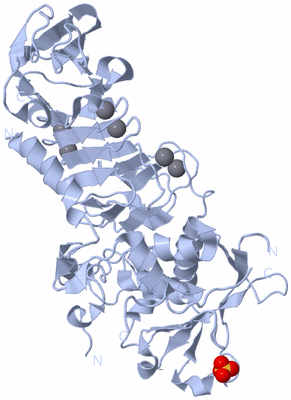 Image Biological Unit 1