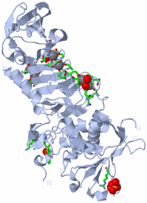 Image Biol. Unit 1 - sites