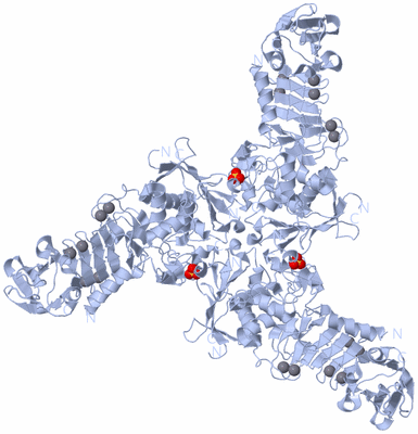 Image Biological Unit 2