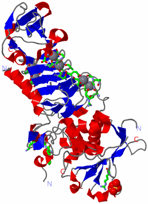 Image Asym. Unit - sites