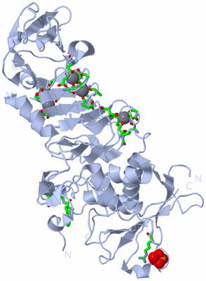 Image Biol. Unit 1 - sites