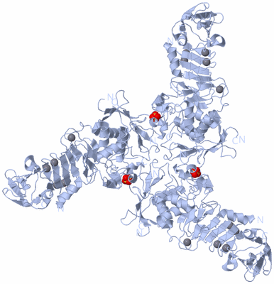 Image Biological Unit 2