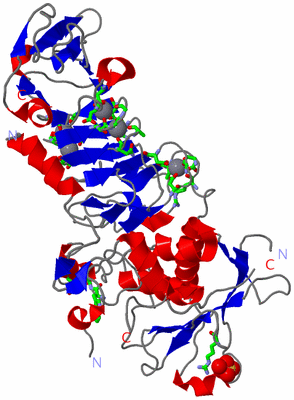 Image Asym. Unit - sites