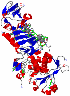 Image Asym. Unit - sites