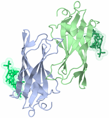 Image Biological Unit 3