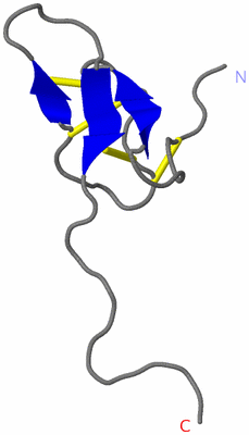 Image NMR Structure - model 1