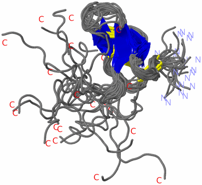 Image NMR Structure - all models