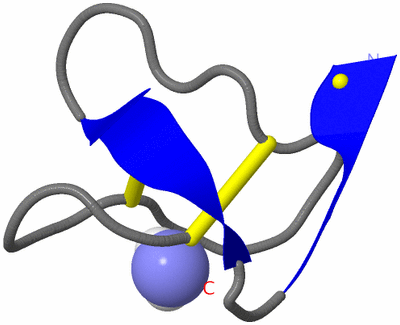 Image NMR Structure - model 1