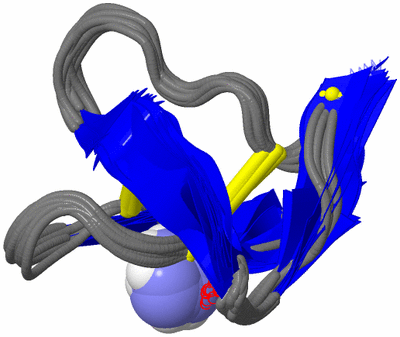 Image NMR Structure - all models