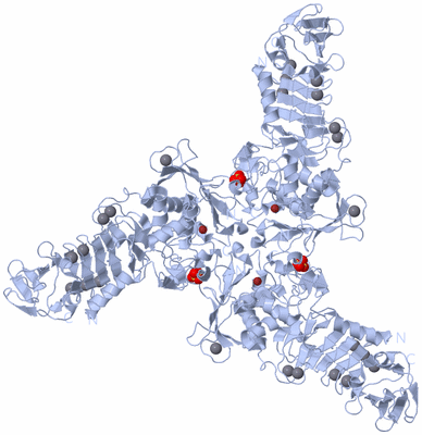 Image Biological Unit 2