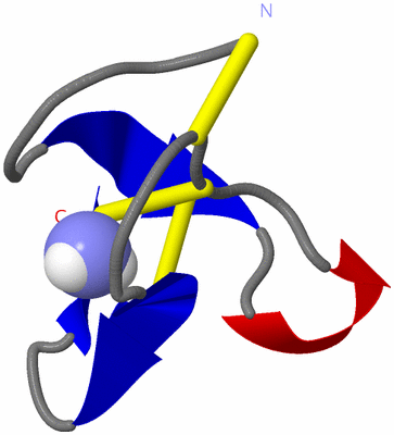 Image NMR Structure - model 1