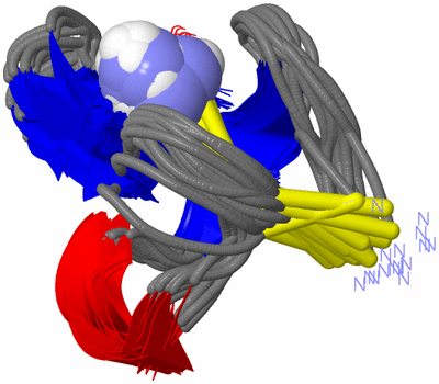 Image NMR Structure - all models