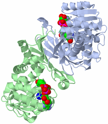 Image Asym./Biol. Unit