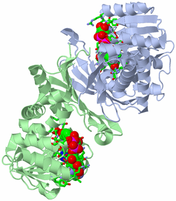 Image Asym./Biol. Unit - sites