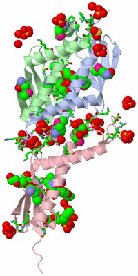 Image Asym./Biol. Unit - sites