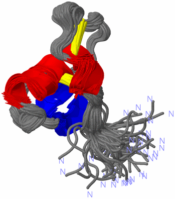 Image NMR Structure - all models