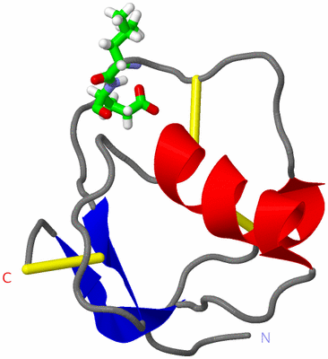 Image NMR Structure - model 1, sites