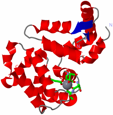 Image Asym. Unit - sites