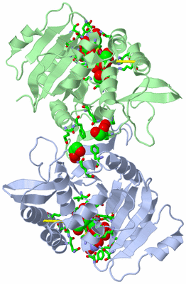 Image Biol. Unit 1 - sites