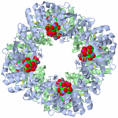 Image Biological Unit 2