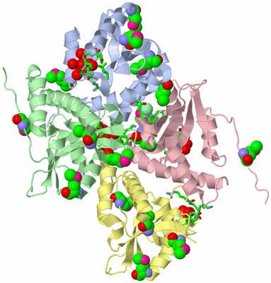 Image Biol. Unit 1 - sites