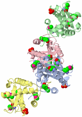 Image Biological Unit 2