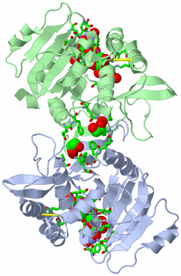 Image Biol. Unit 1 - sites