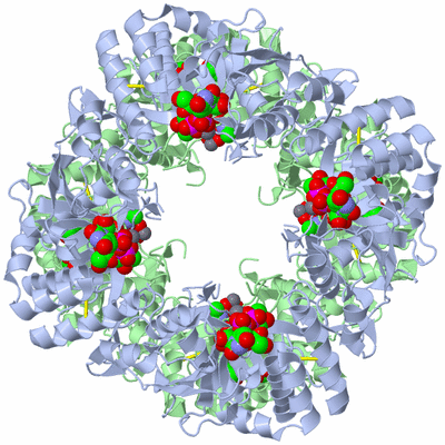 Image Biological Unit 2