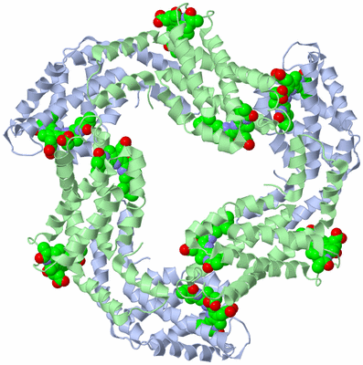 Image Biological Unit 2