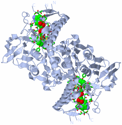 Image Biol. Unit 1 - sites