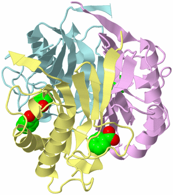 Image Biological Unit 2